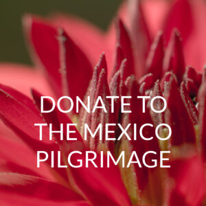DONATION TO PILGRIMAGE IN MEXICO