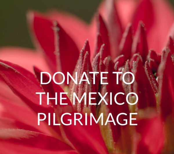 DONATE MEXICO